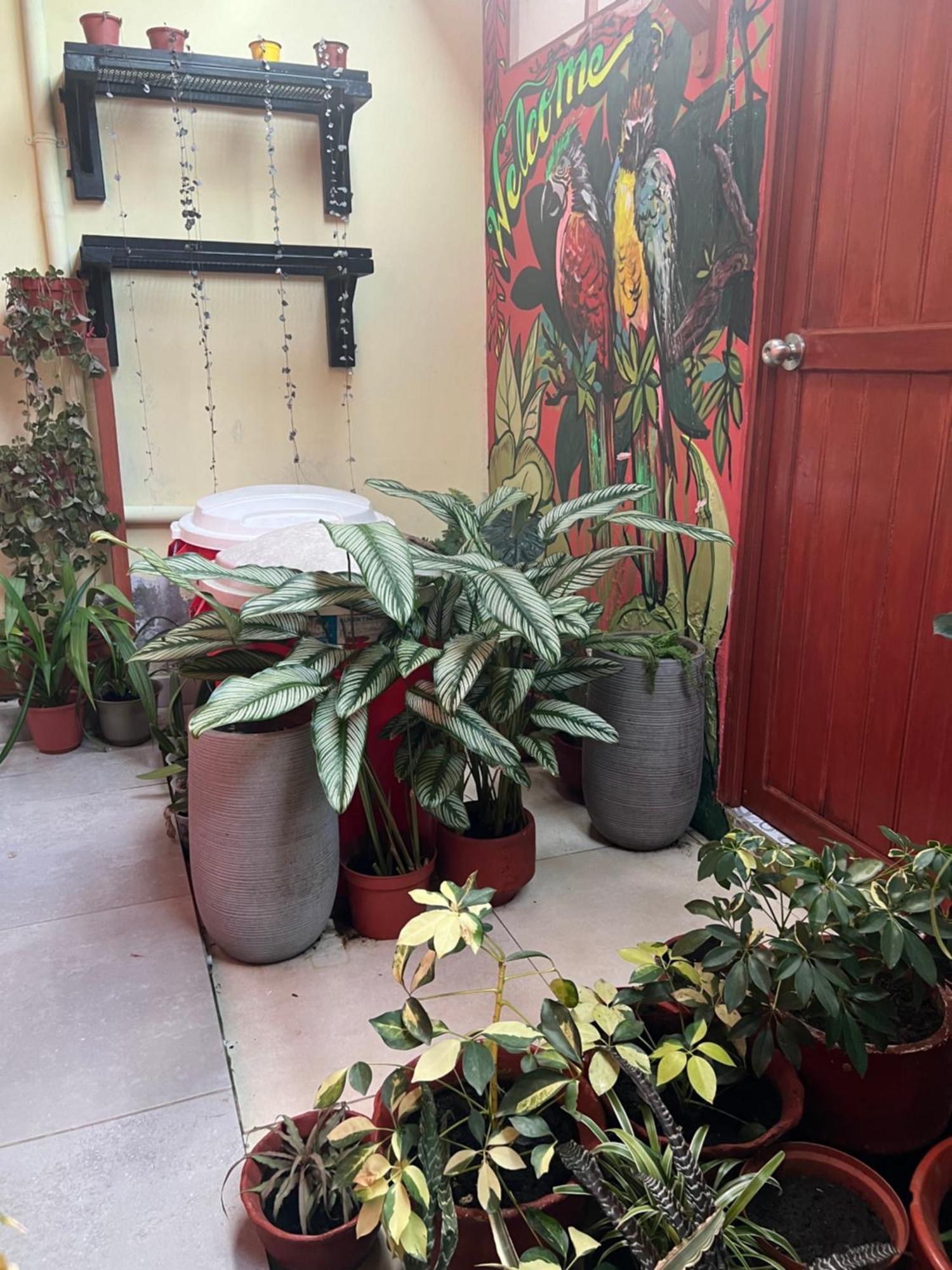 Apartmán Casa Micaela Iquitos Exteriér fotografie