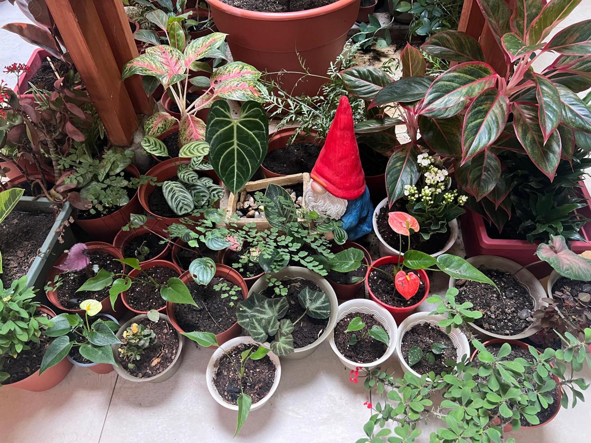 Apartmán Casa Micaela Iquitos Exteriér fotografie