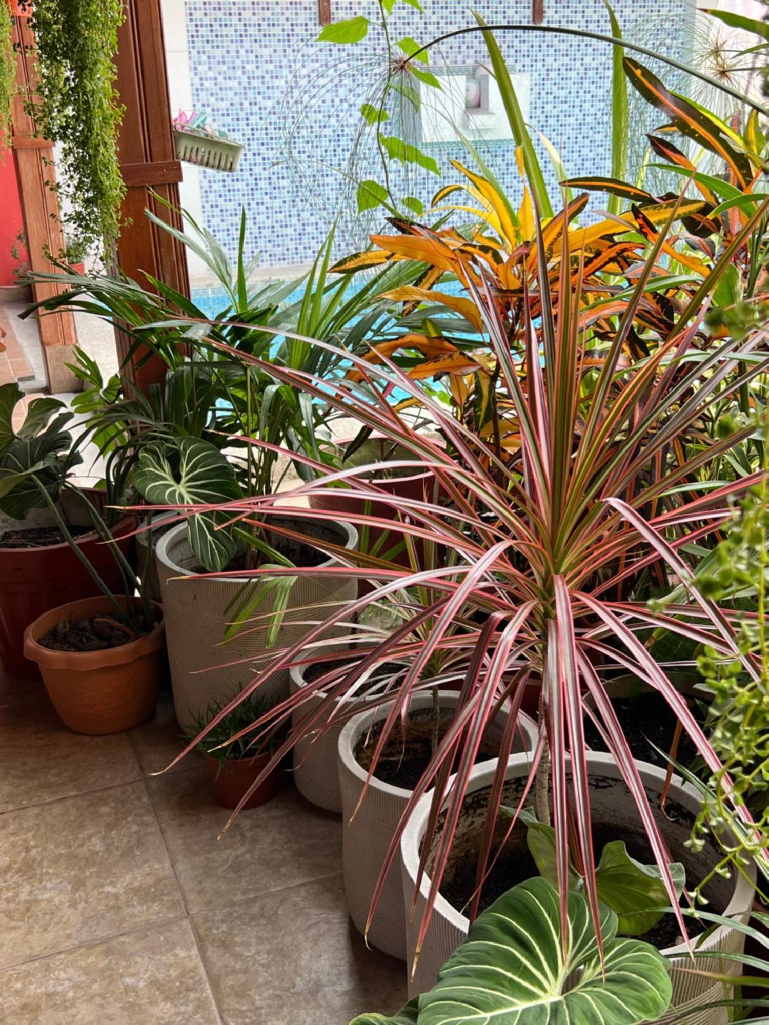 Apartmán Casa Micaela Iquitos Exteriér fotografie